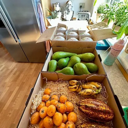 Oj Отель типа 